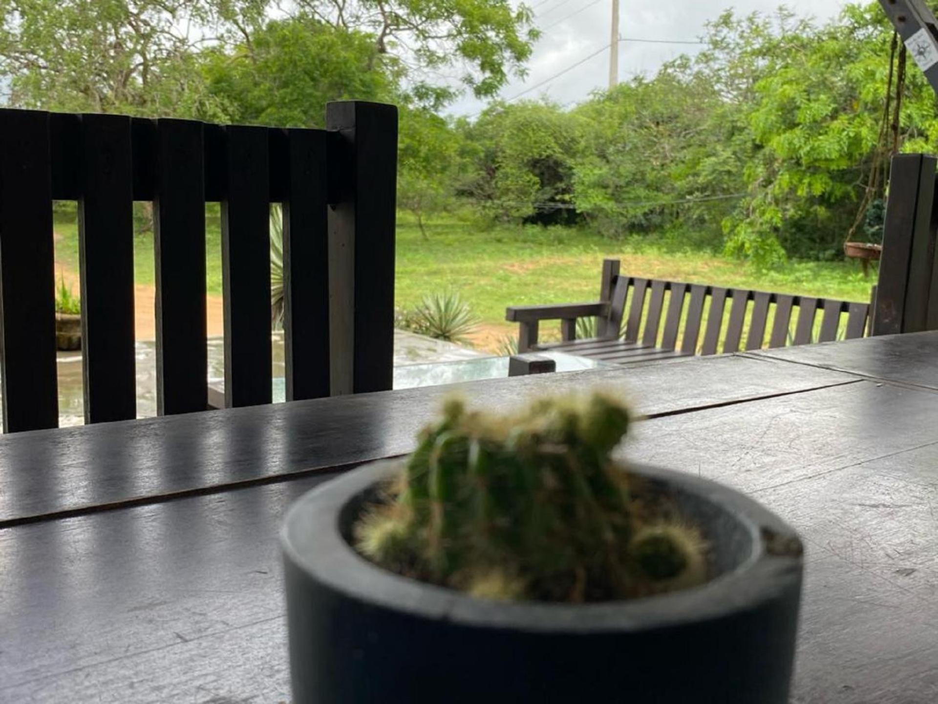 Yala Ying Yang Hostel & Camping エクステリア 写真