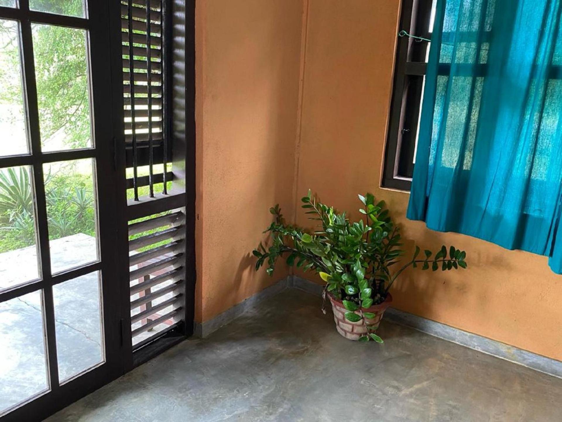 Yala Ying Yang Hostel & Camping エクステリア 写真