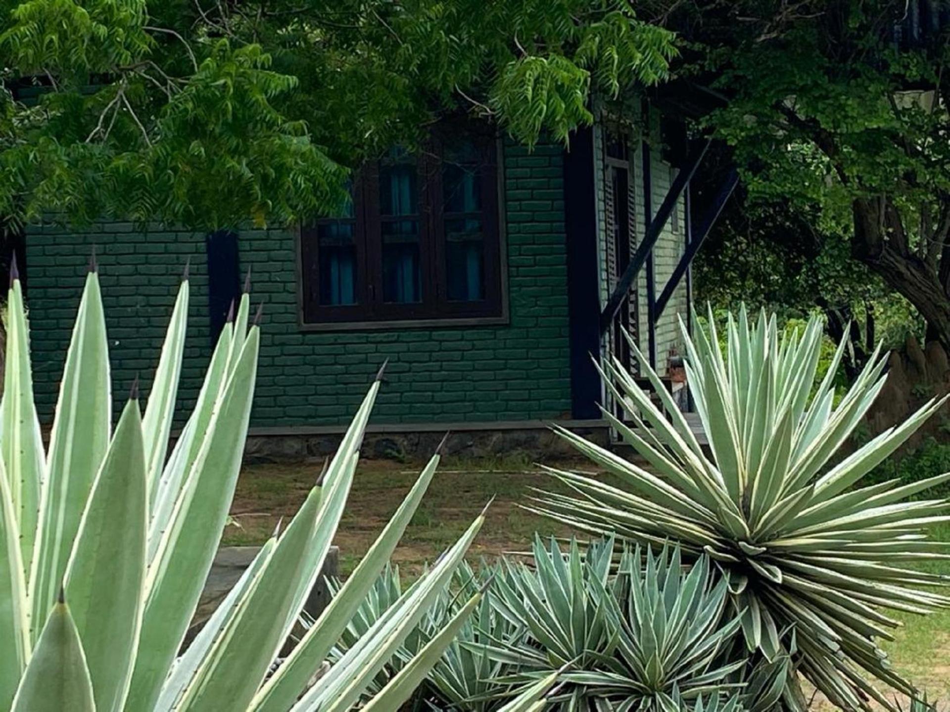 Yala Ying Yang Hostel & Camping エクステリア 写真