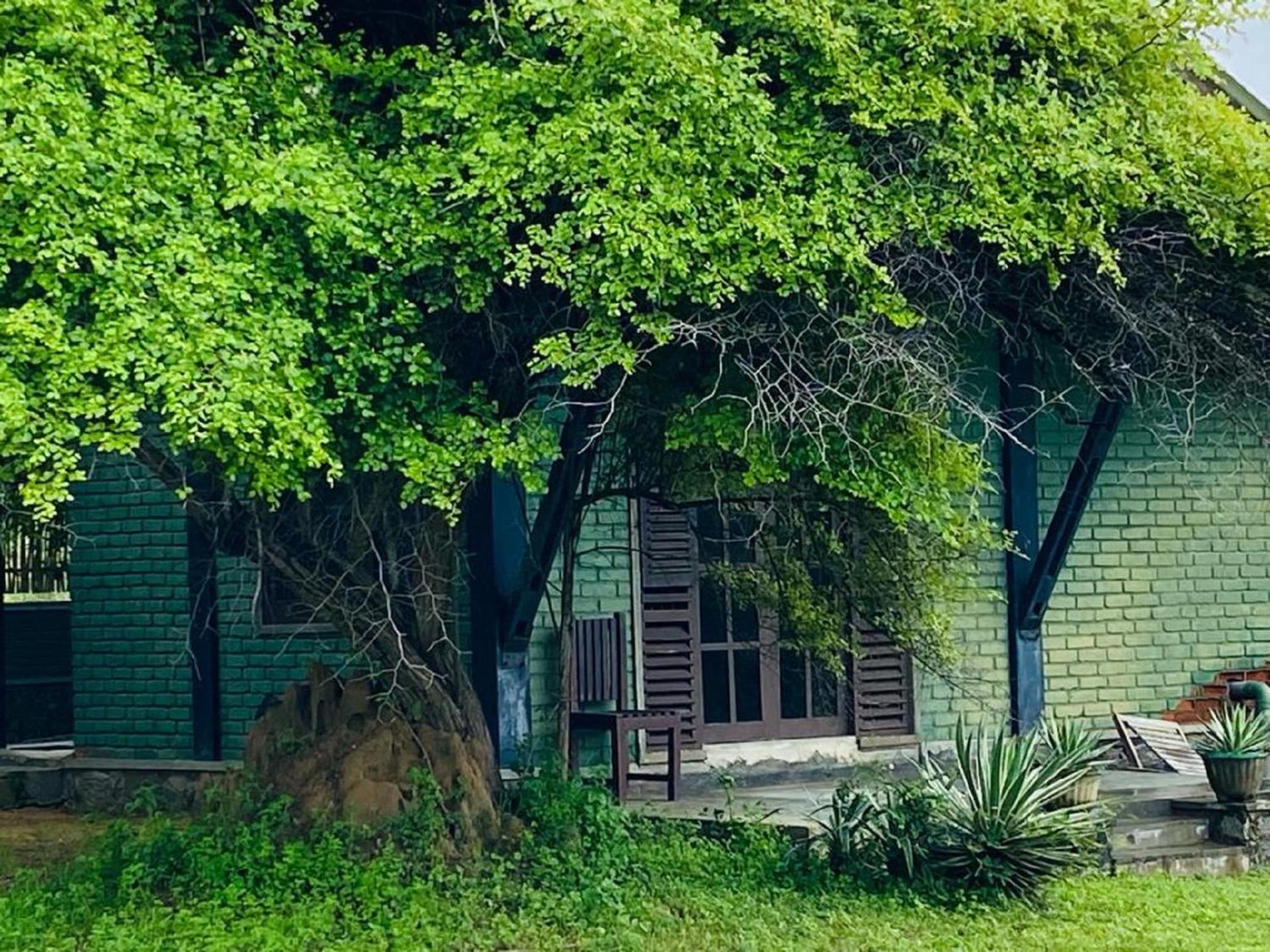 Yala Ying Yang Hostel & Camping エクステリア 写真