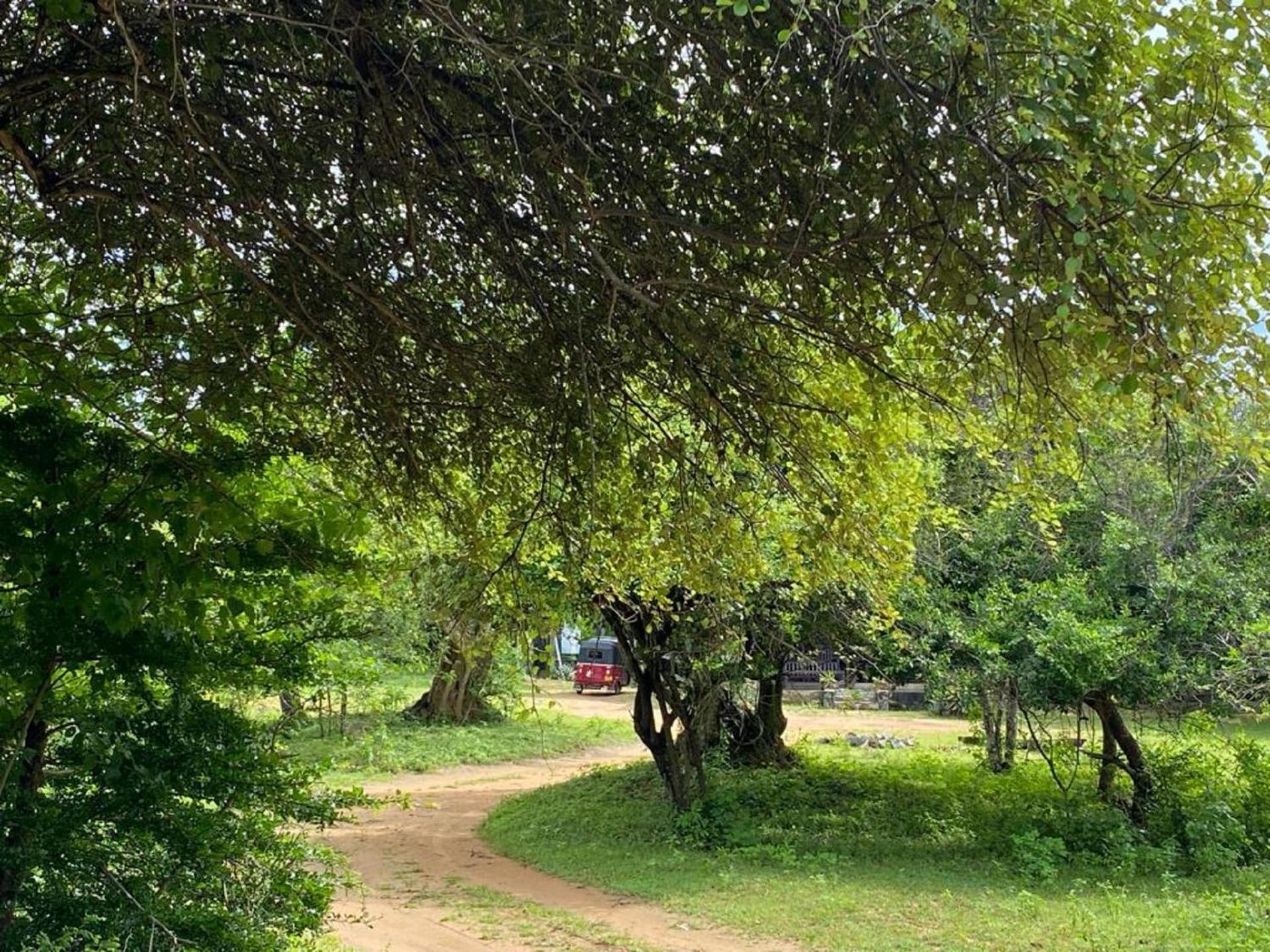 Yala Ying Yang Hostel & Camping エクステリア 写真