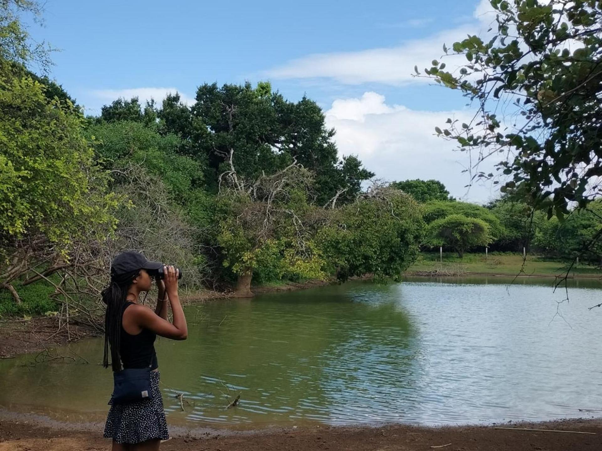 Yala Ying Yang Hostel & Camping エクステリア 写真
